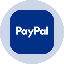 PayPal Tokenized Stock (Ondo) icon