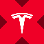 Tesla tokenized stock (xStock) icon